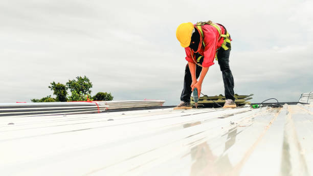 Best Roof Moss and Algae Removal  in Panther Valley, NJ