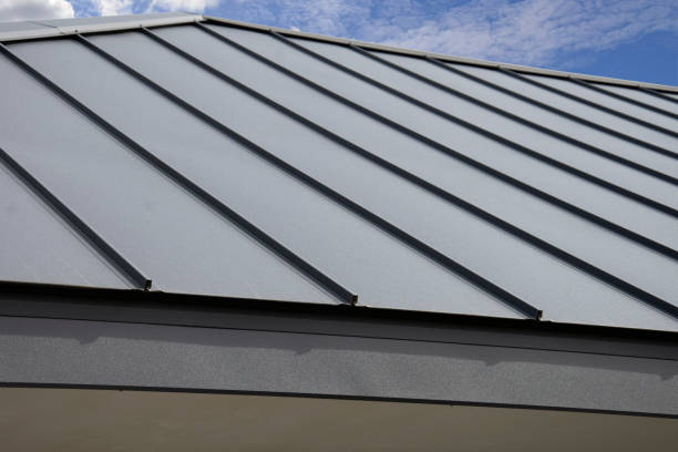 Best Commercial Roofing Services  in Panther Valley, NJ